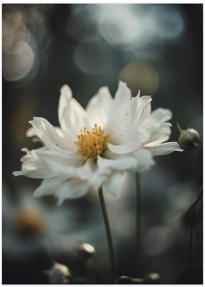 Whispering Petals
