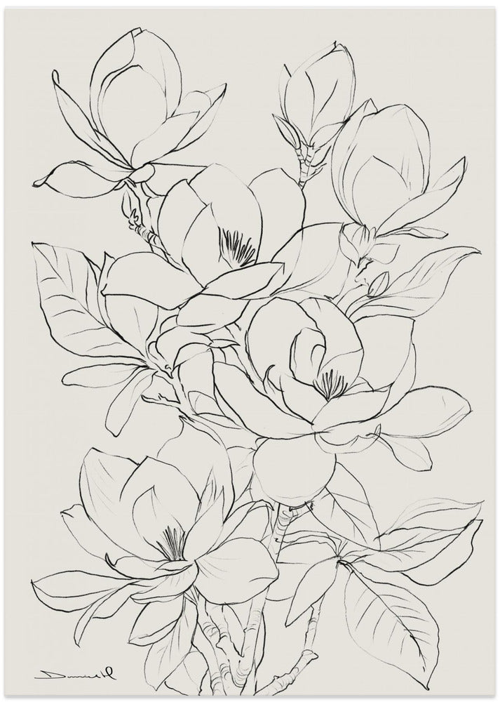 Magnolia Tree