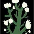 Nocturnal White Blossom