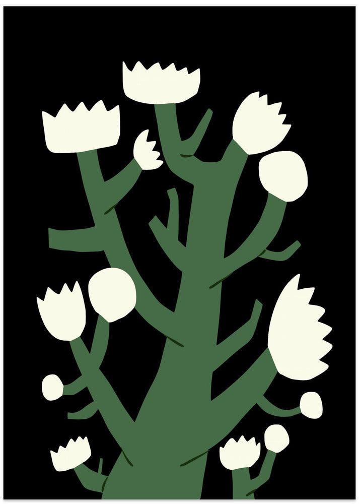 Nocturnal White Blossom