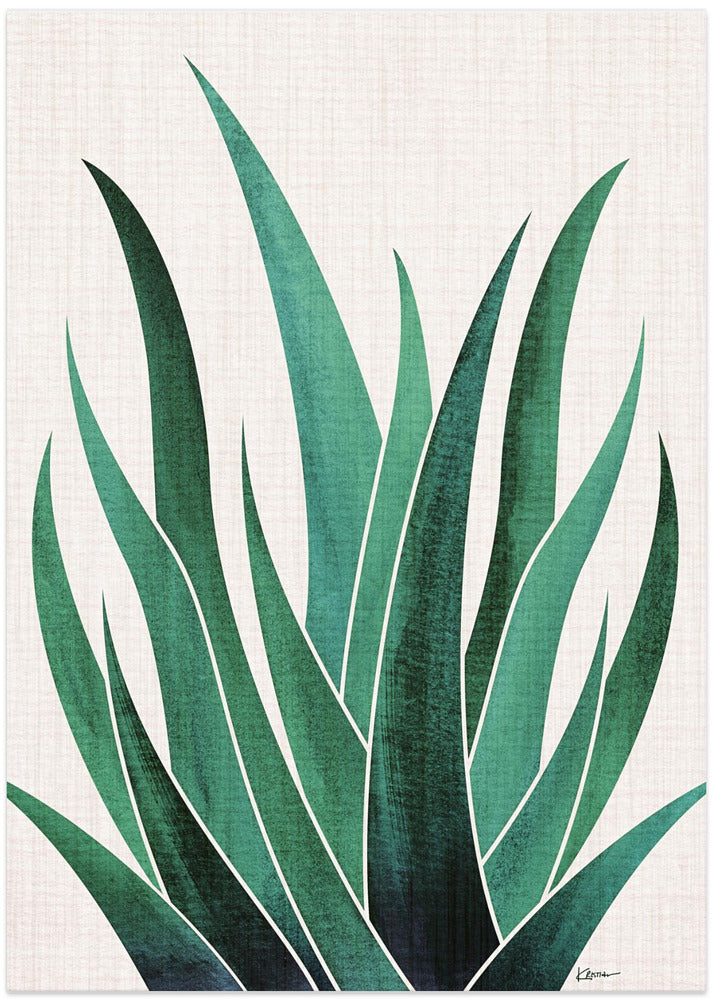 Desert Agave Cactus