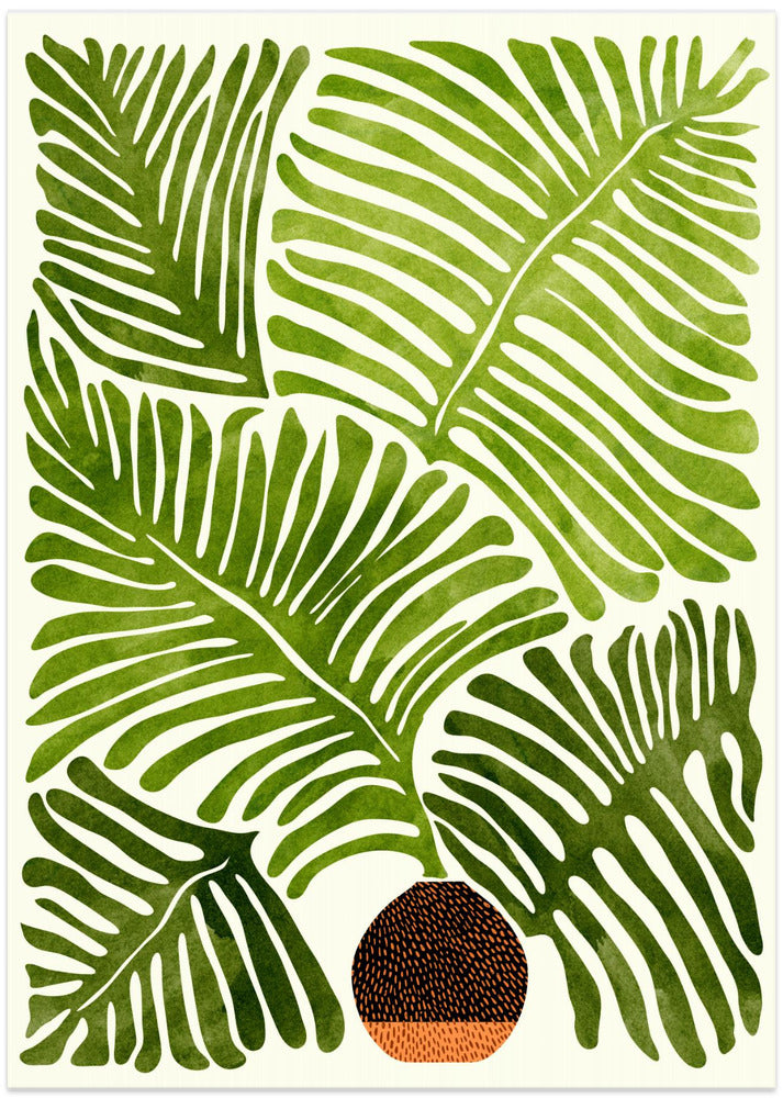Summer Fern
