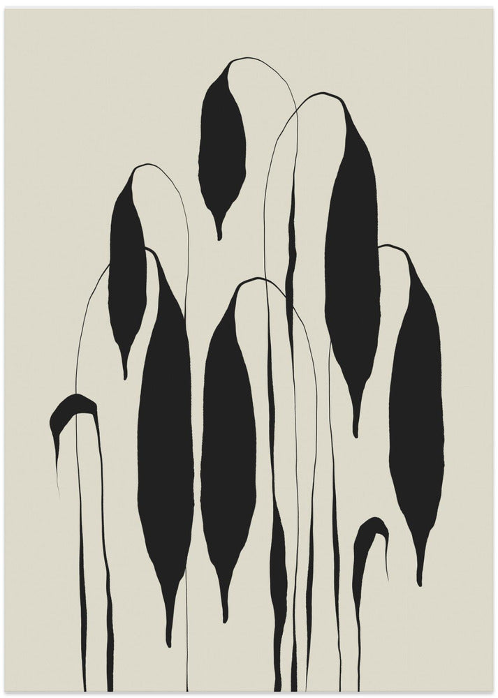 Waning Petals