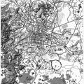 Mexico City White