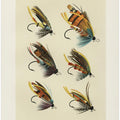Salmon Fliee 1892