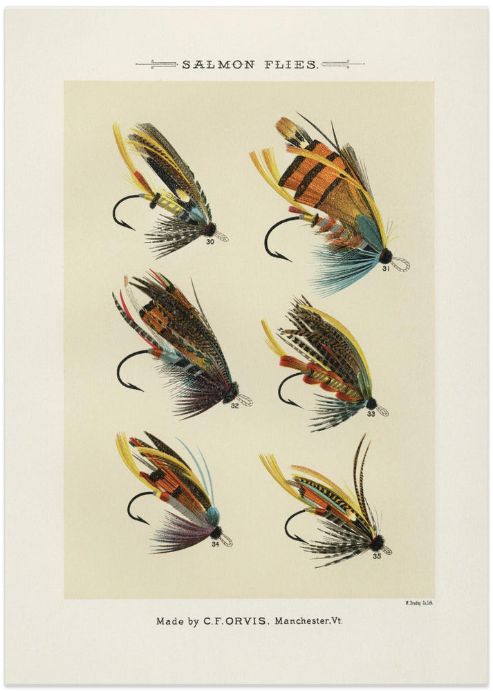 Salmon Fliee 1892