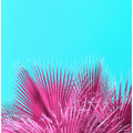 Electric Pink Palm Fronds