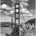 Art Prints of SAN FRANCISCO Golden Gate Bridge - monochrome