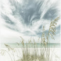 Calmness on the beach