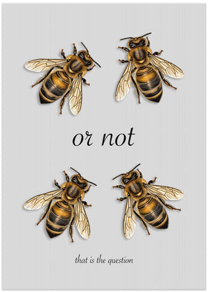 Art Prints of To be, or not to be