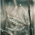Art Prints of Green Wet Leaf No 1