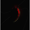 Red Heart In Space