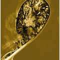 Art Prints of Process  4.