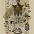 Body In Metamorphosis