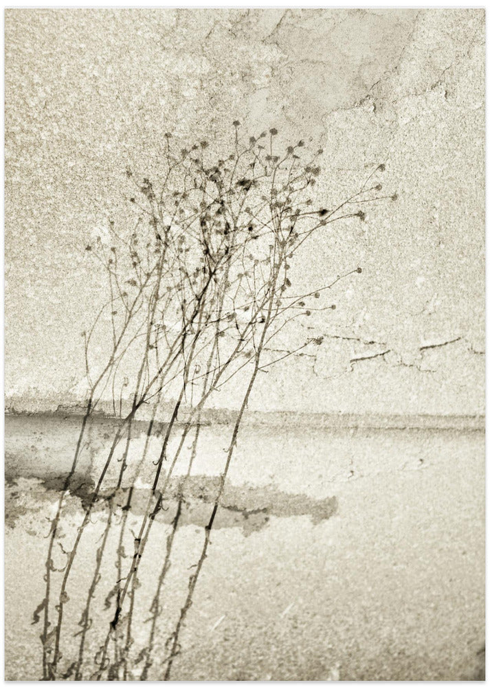 On the concrete