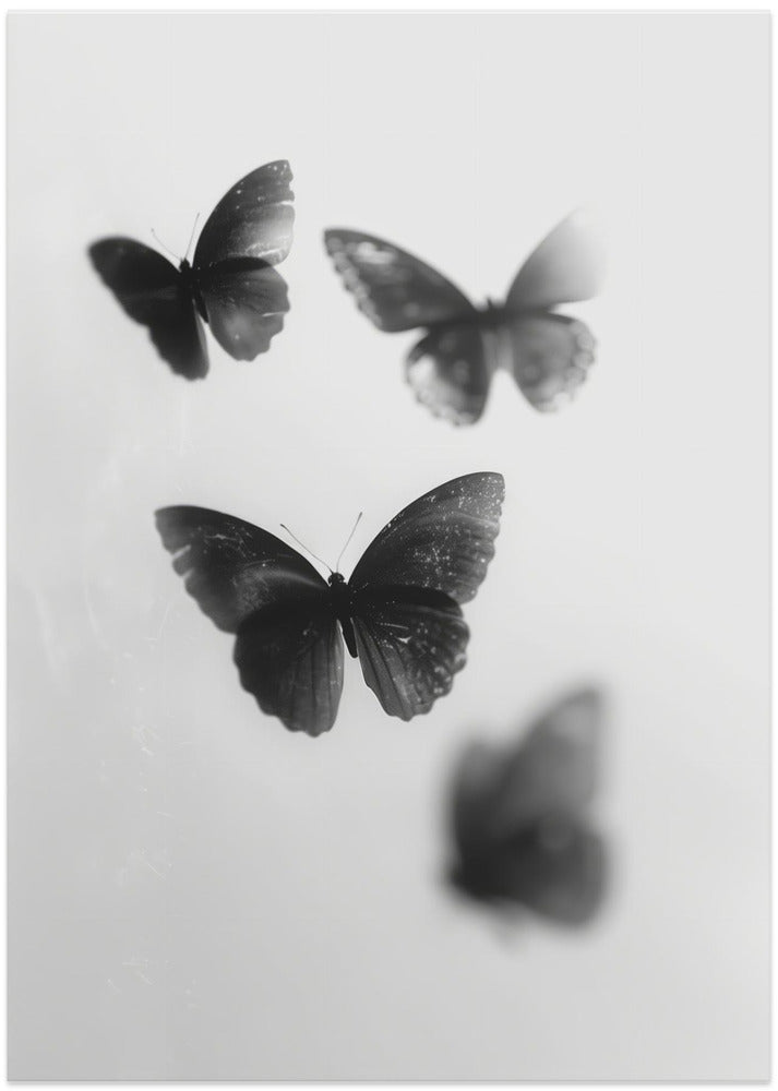 Fluttering Shadows