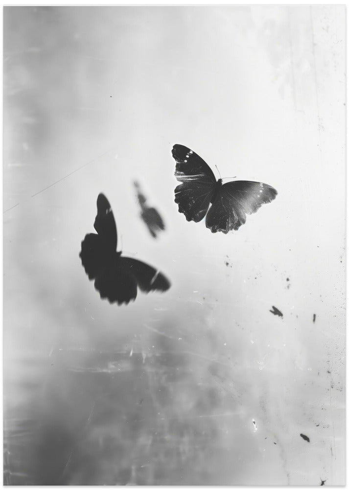 Shadowed Flight