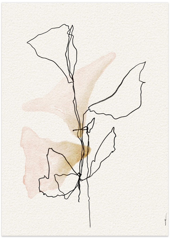 Minimal Bloom Lines