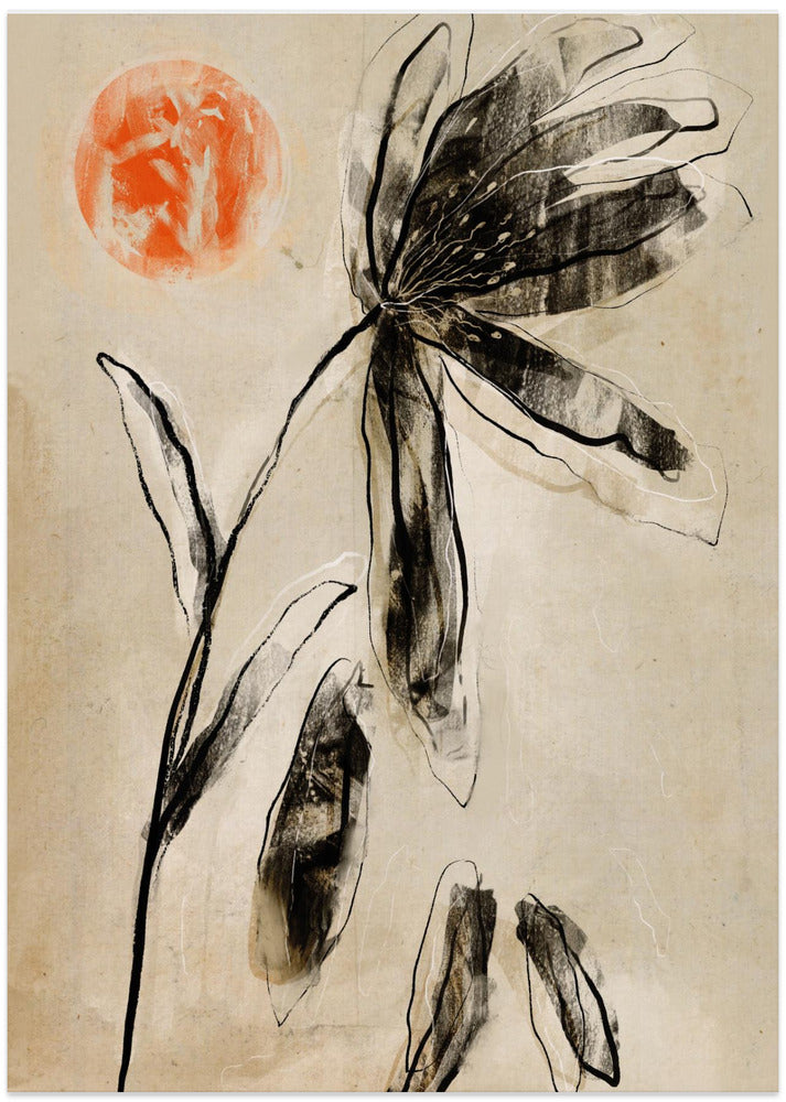 Shadowed Bloom