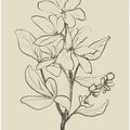 Floral 1