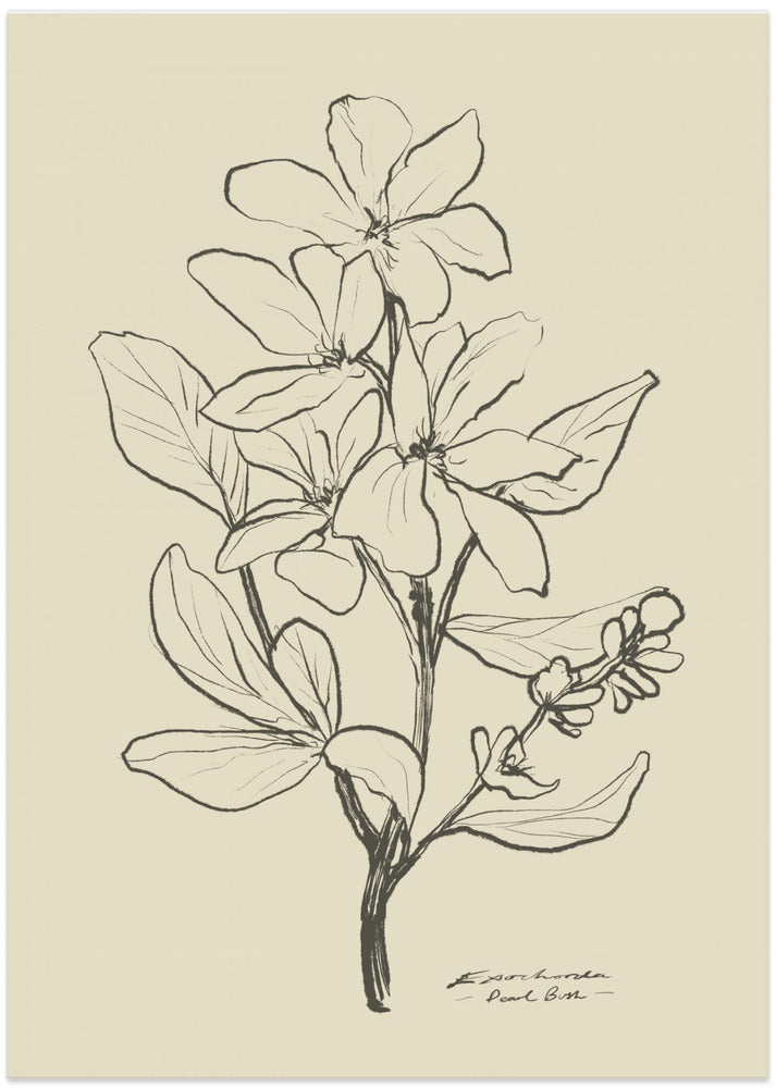 Floral 1