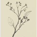 Floral 2