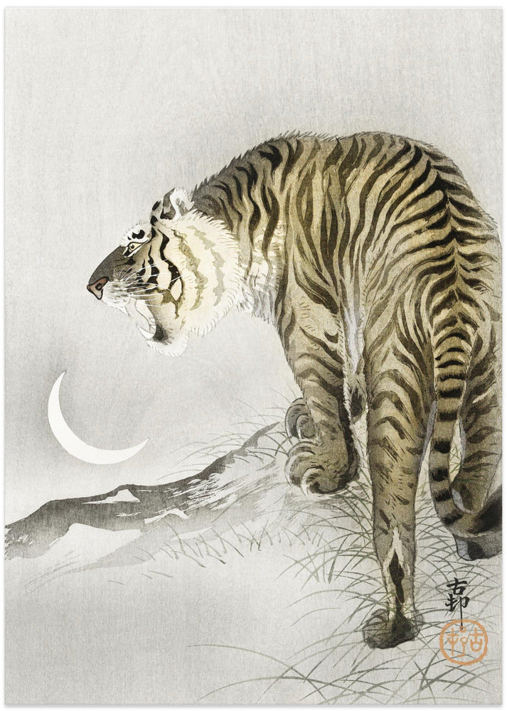 Roaring Tiger