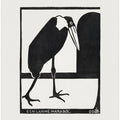 A Lame Marabou