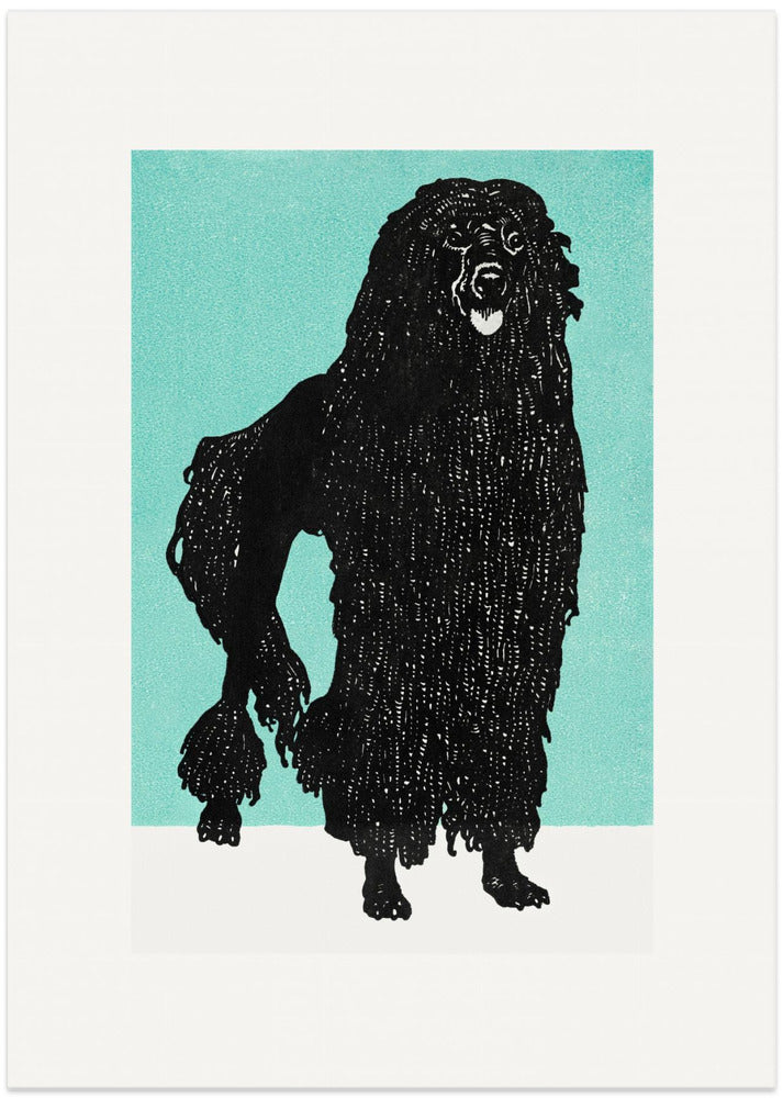 Poodle