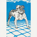 Bulldog