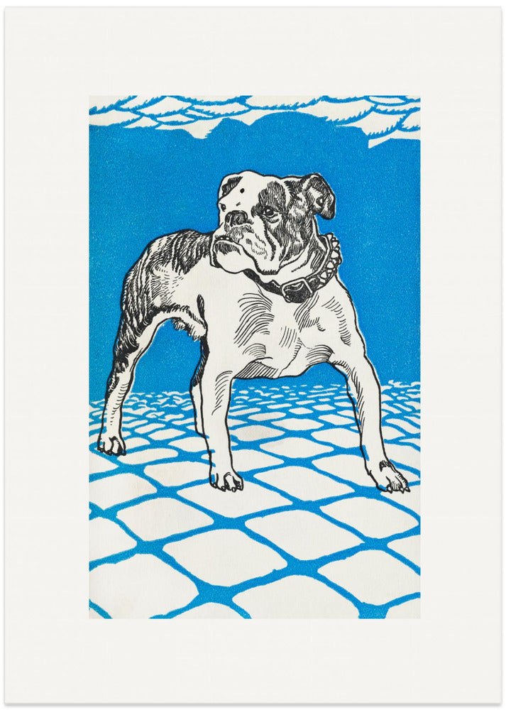 Bulldog