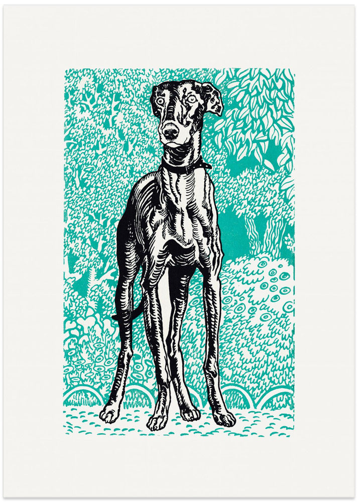 Greyhound