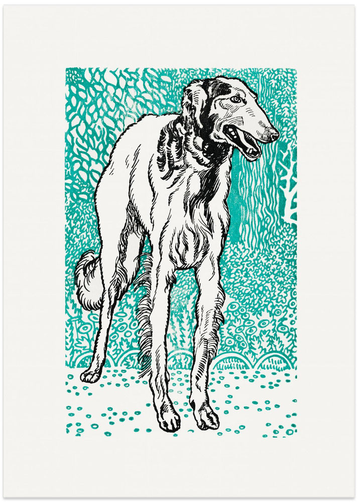 Greyhound
