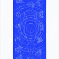 Solar Biology No. 6  blue (creative ed.)
