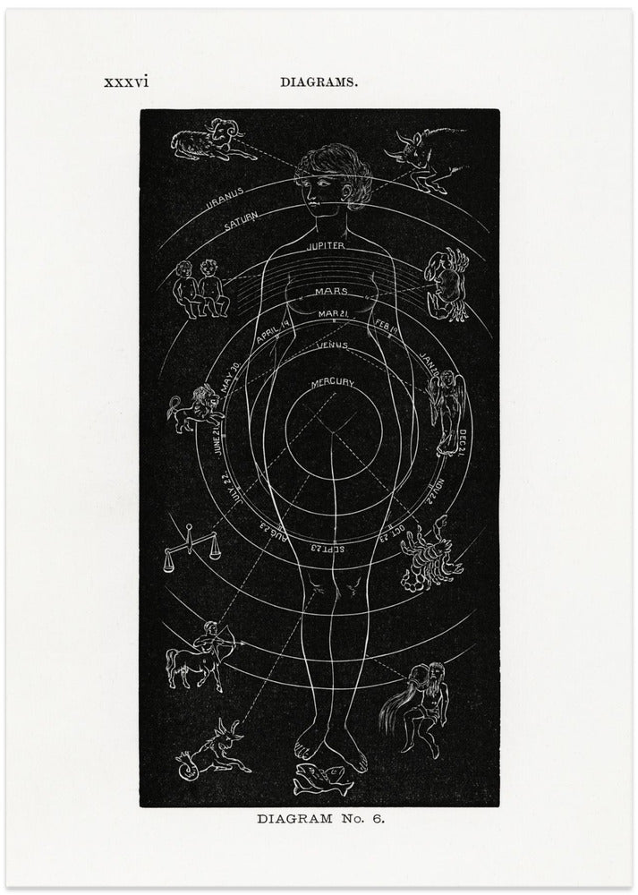 Solar Biology No. 6