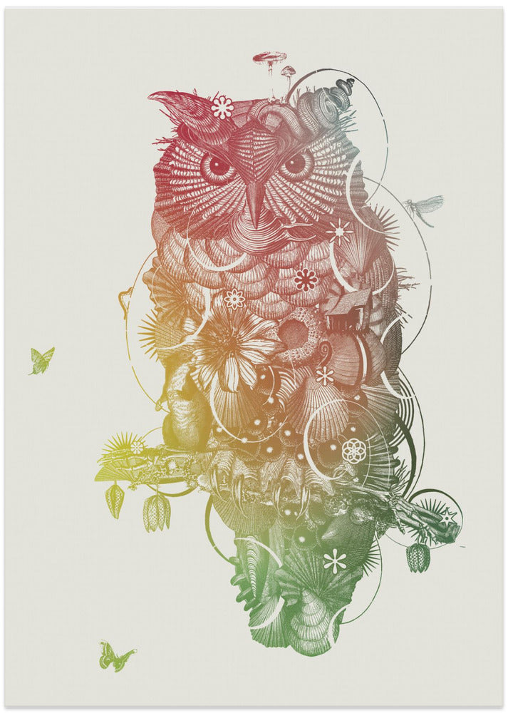Owl