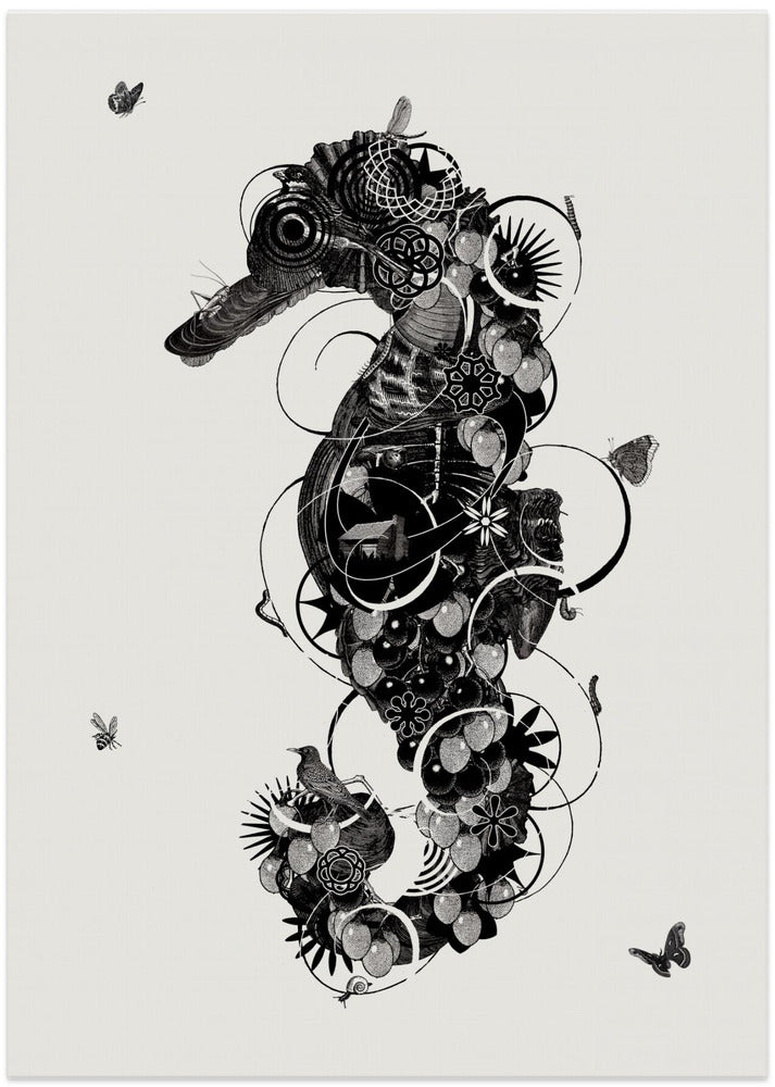 Seahorse