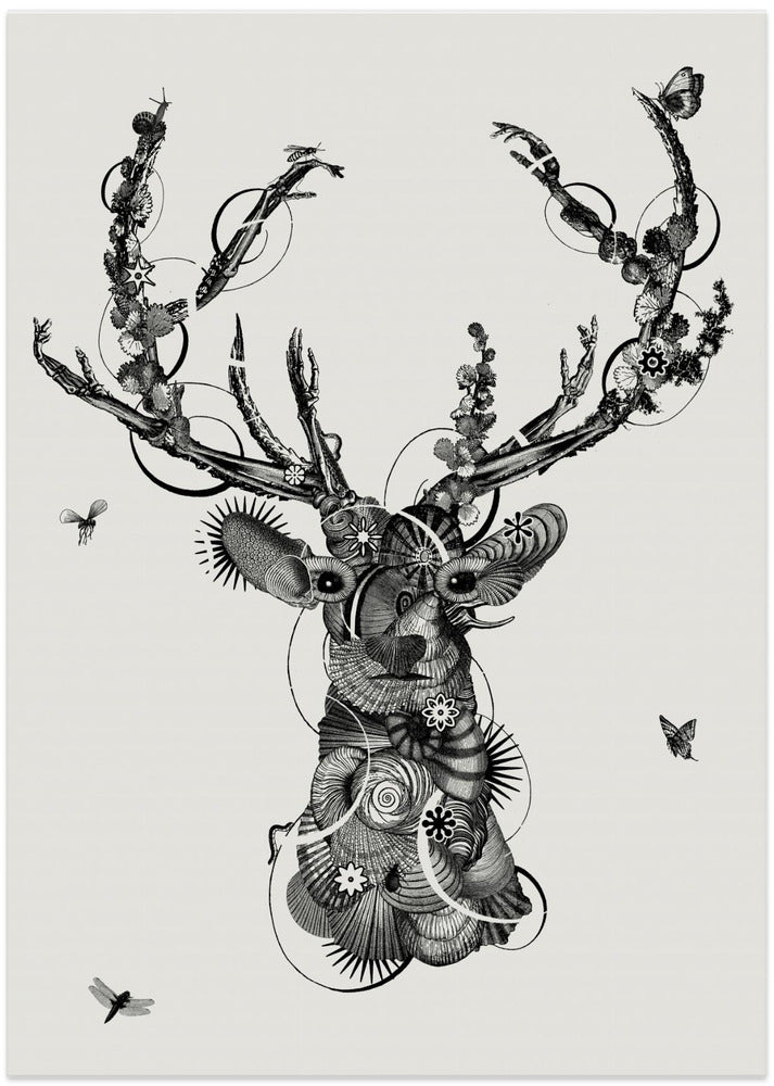 Deerhead