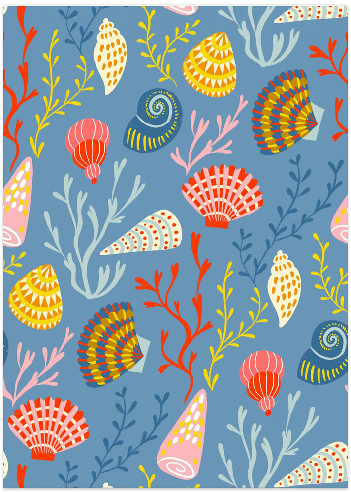 Colorful Seashells