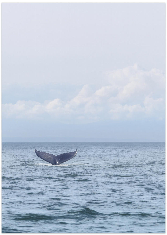 Whale's Farewell