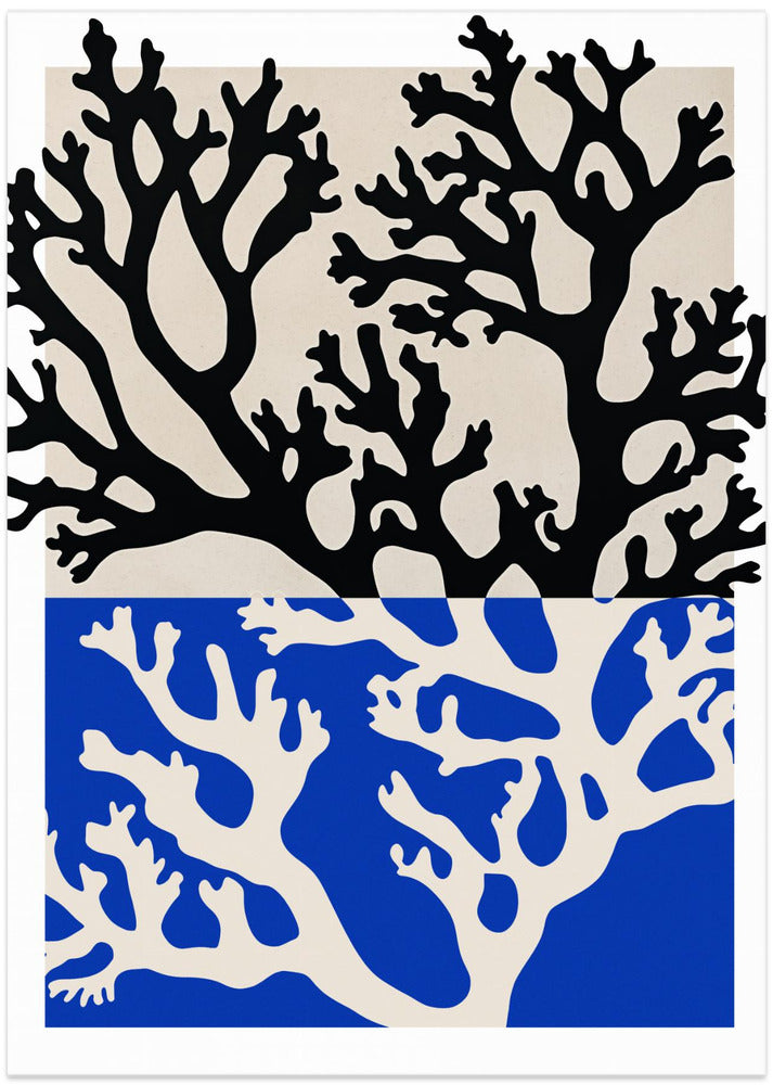 Coral Contrast