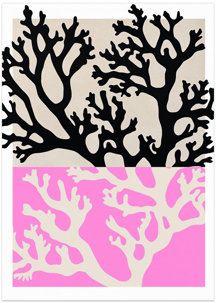 Dual Coral Silhouettes