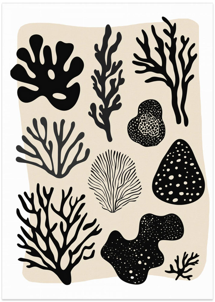 Ocean Shapes