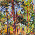 Pine forest