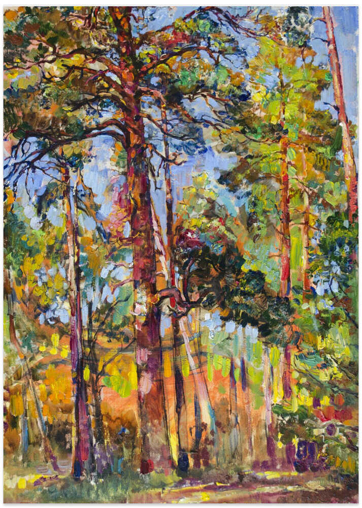 Pine forest