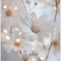 Whisper of Petals