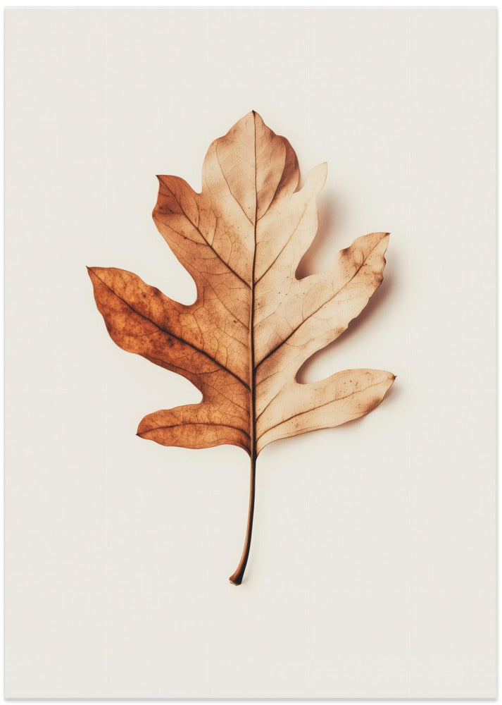 Autumn Whisper