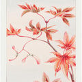 Branch of Momiji Maple Tree With Leaves and Seeds During 1870–1880