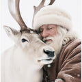 Winter Companions