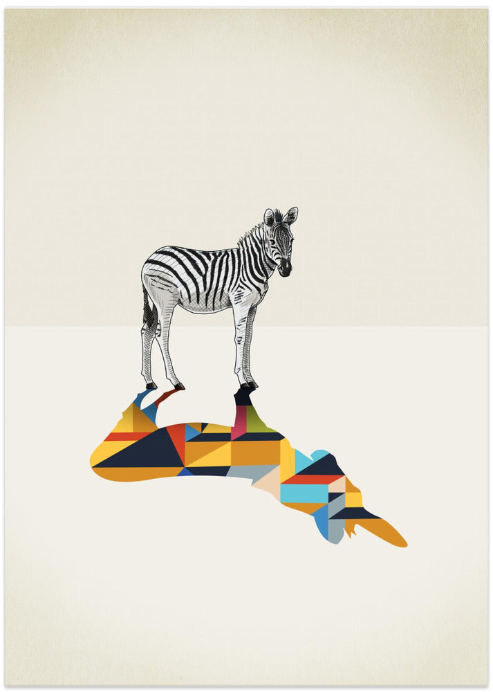 Walking Shadow, Zebra